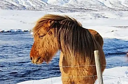 martin online d9dc69